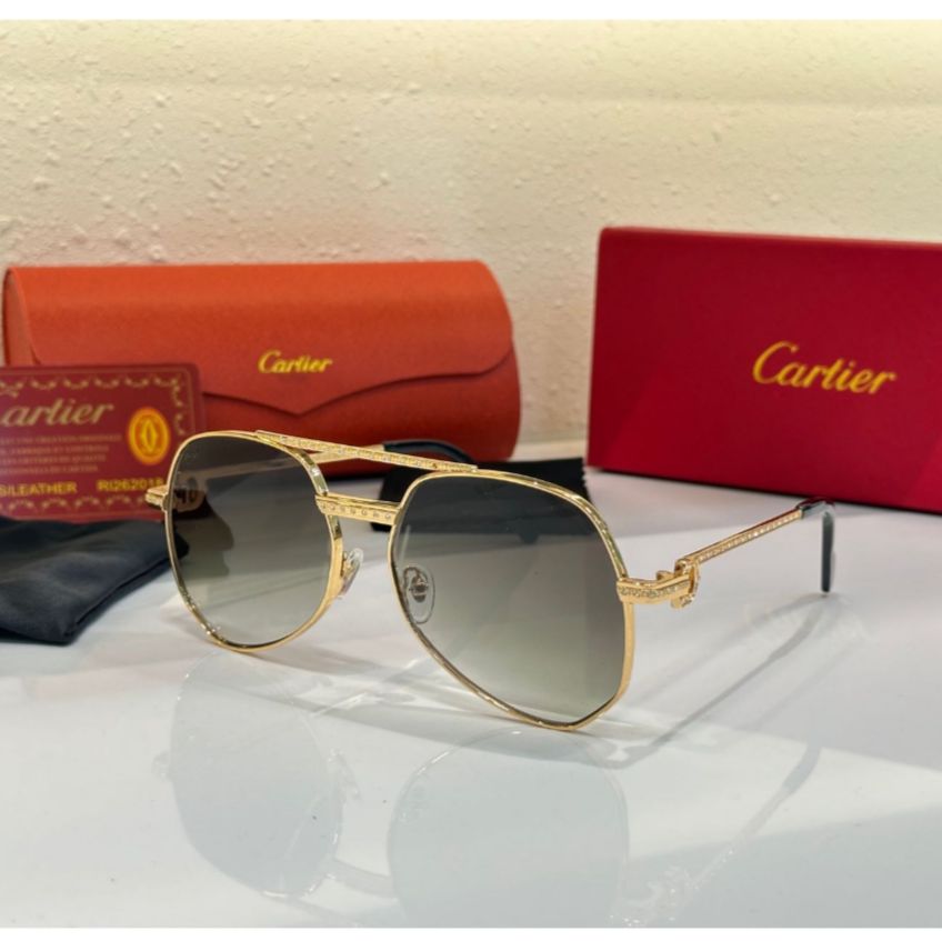 WhatsApp Image 2024-11-15 at 19.00.00 Cartier Tinted Unisex Premium Sunglass